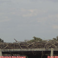 17_05-mast.jpg