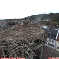 17_05-nest.jpg