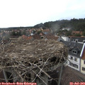 17_10-nest.jpg