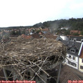 17_15-nest.jpg
