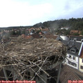 17_20-nest.jpg