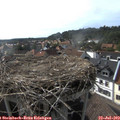 17_35-nest.jpg