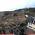 17_40-nest.jpg