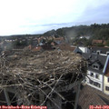 17_45-nest.jpg