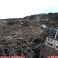 17_55-nest.jpg