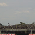 18_05-mast.jpg