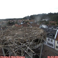 18_05-nest.jpg