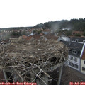 18_10-nest.jpg