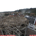 18_15-nest.jpg