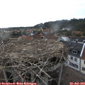 18_20-nest.jpg