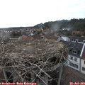 18_25-nest.jpg