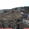 18_30-nest.jpg