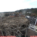 18_35-nest.jpg