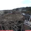 18_45-nest.jpg
