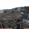 19_10-nest.jpg