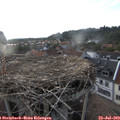 19_25-nest.jpg