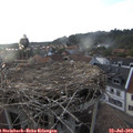 19_30-nest.jpg