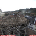 19_35-nest.jpg