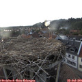 19_40-nest.jpg