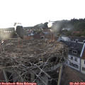 19_55-nest.jpg