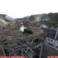 20_45-nest.jpg