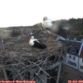 21_00-nest.jpg