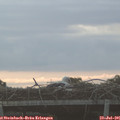 05_55-mast.jpg