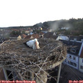 05_55-nest.jpg