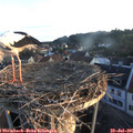 06_05-nest.jpg
