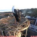 06_15-nest.jpg