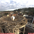 07_10-nest.jpg