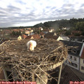 07_15-nest.jpg