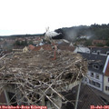 08_00-nest.jpg
