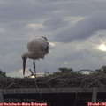 08_05-mast.jpg