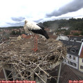 09_05-nest.jpg