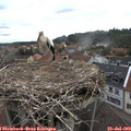 10_10-nest.jpg