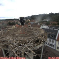 10_25-nest.jpg