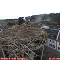 10_30-nest.jpg