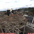 11_55-nest.jpg