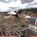 12_25-nest.jpg