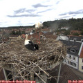 14_10-nest.jpg