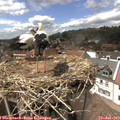 14_45-nest.jpg