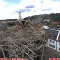 14_55-nest.jpg