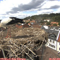 15_00-nest.jpg