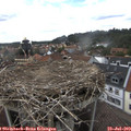 15_30-nest.jpg