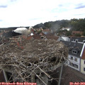15_35-nest.jpg