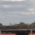 16_05-mast.jpg