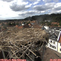 16_05-nest.jpg
