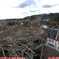 16_10-nest.jpg