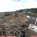 16_15-nest.jpg